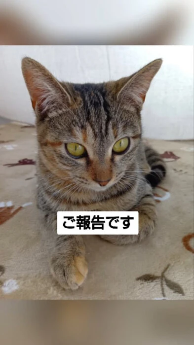 画像937