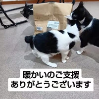 画像939