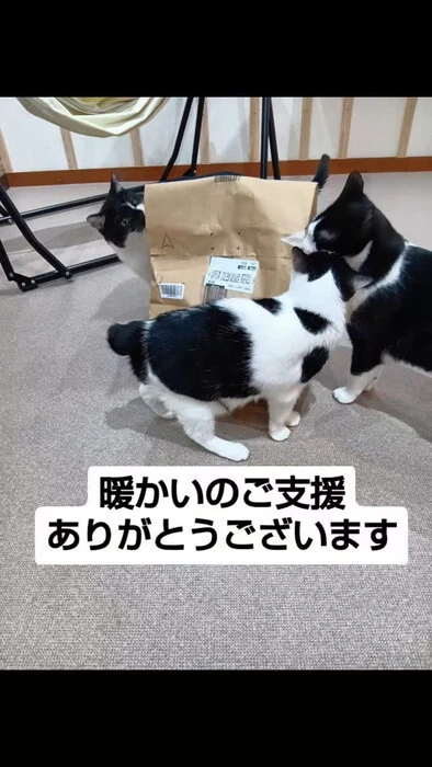 画像939