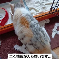 画像941