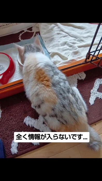 画像941