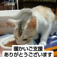 画像943