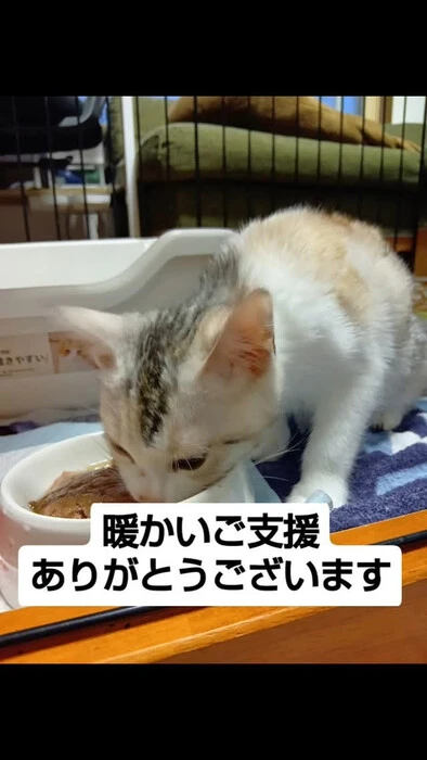 画像943