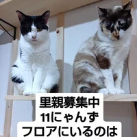 画像945