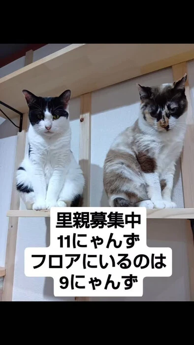 画像945
