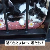 画像947