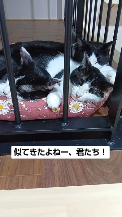 画像947