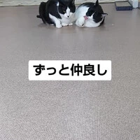 画像949