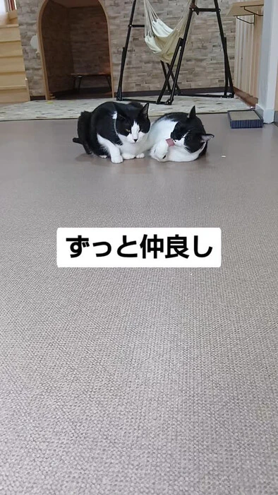画像949