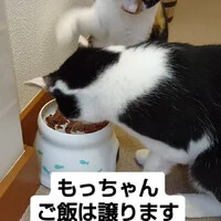 画像951