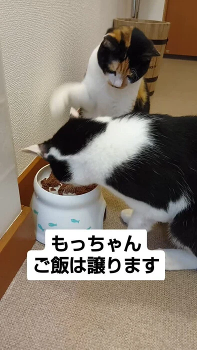 画像951