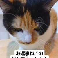 画像955