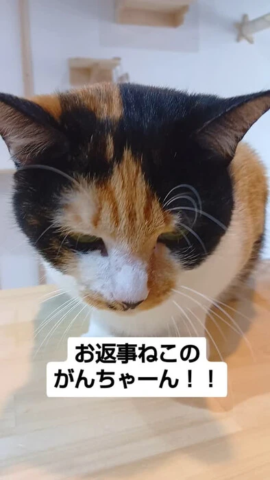 画像955