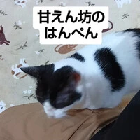 画像957