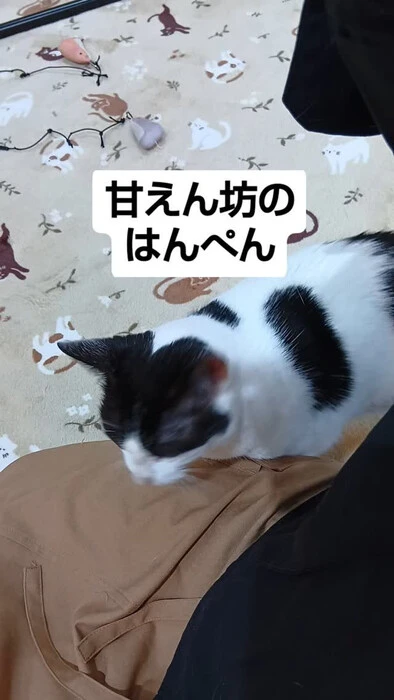画像957