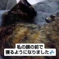画像959