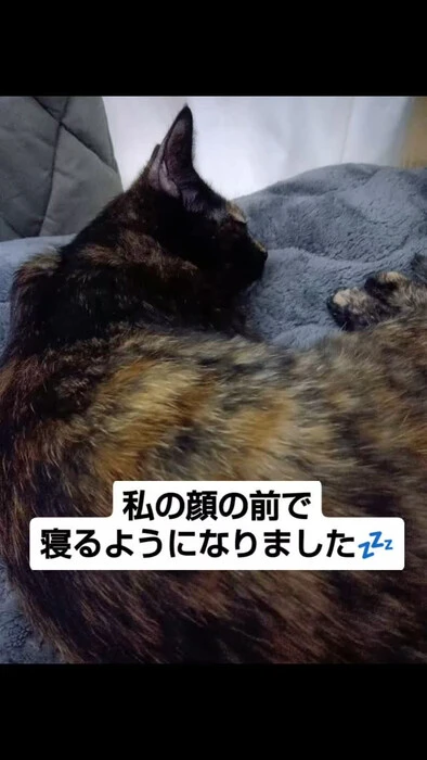 画像959