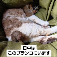 画像961