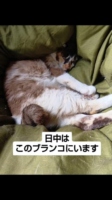 画像961