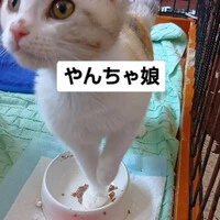 画像963