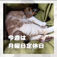 画像965