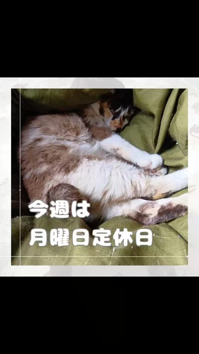画像965