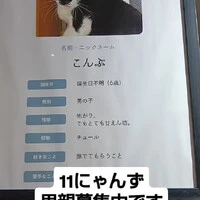 画像971