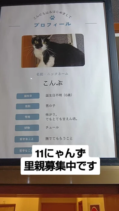 画像971