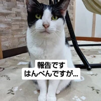 画像973