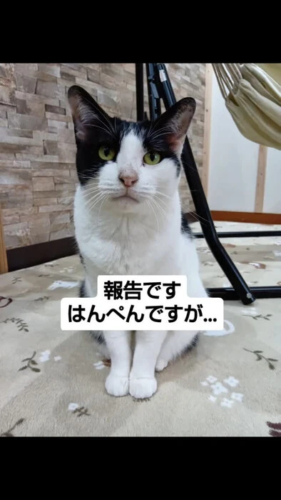 画像973