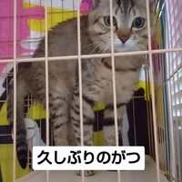 画像975