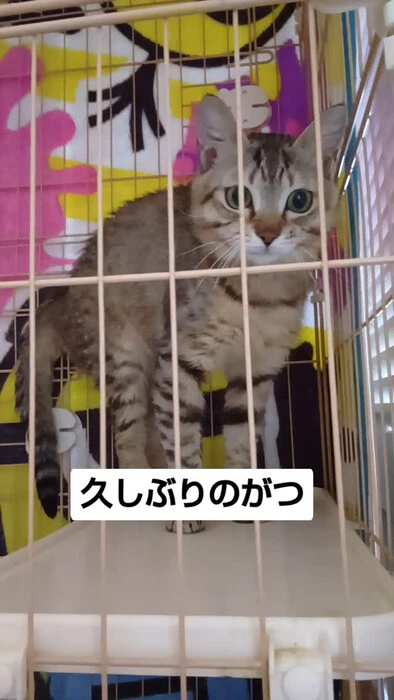 画像975