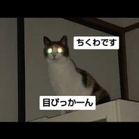 画像977
