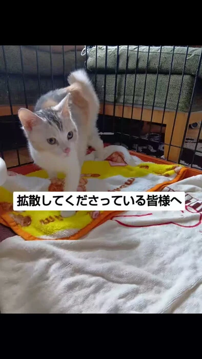 画像981