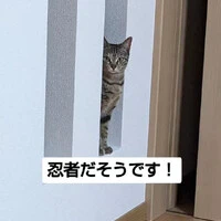 画像983
