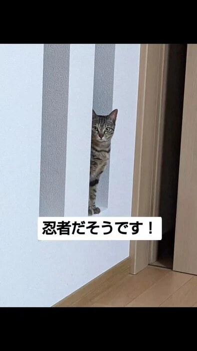 画像983