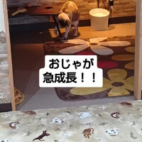 画像985