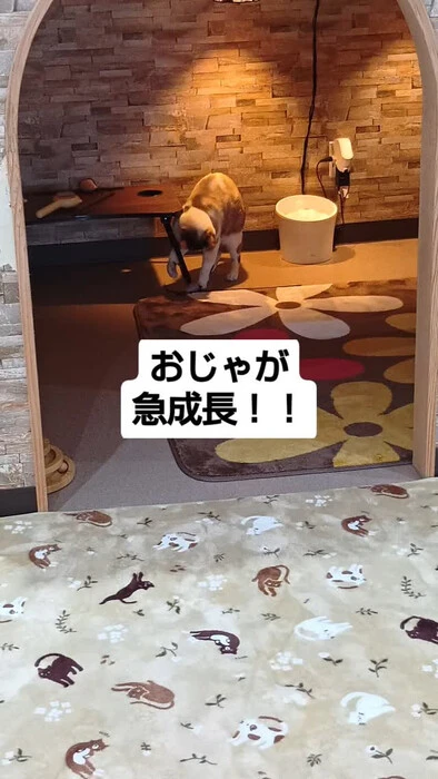 画像985