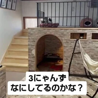 画像987