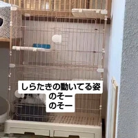 画像989