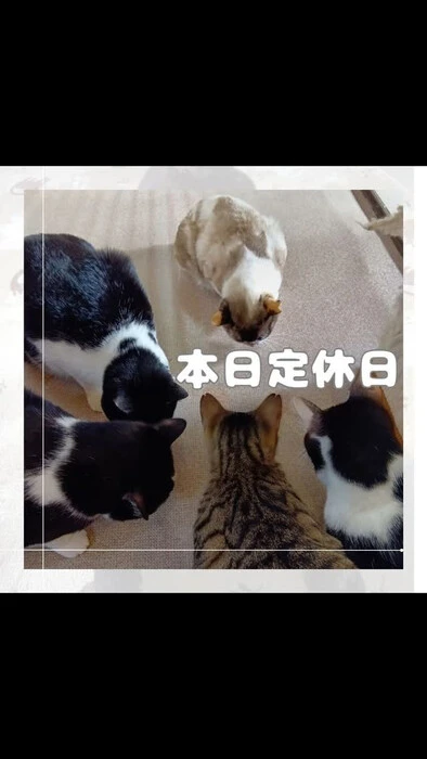 画像991