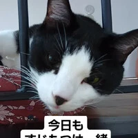 画像995