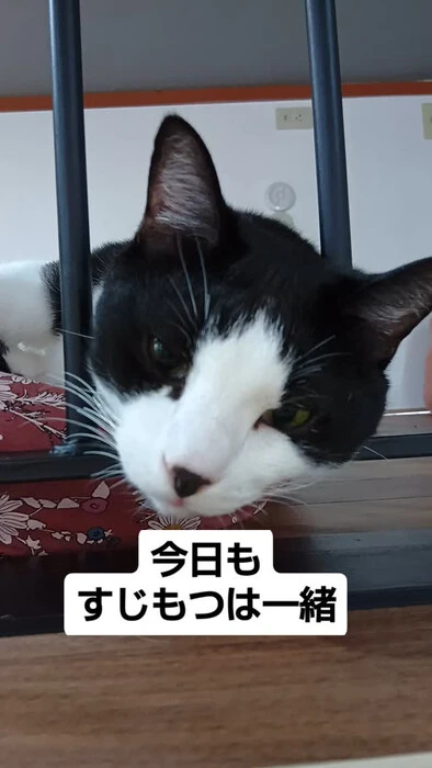 画像995