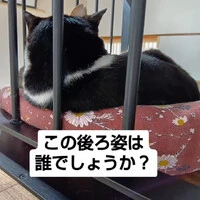 画像997