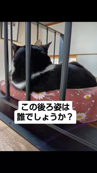 画像997