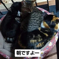 画像999