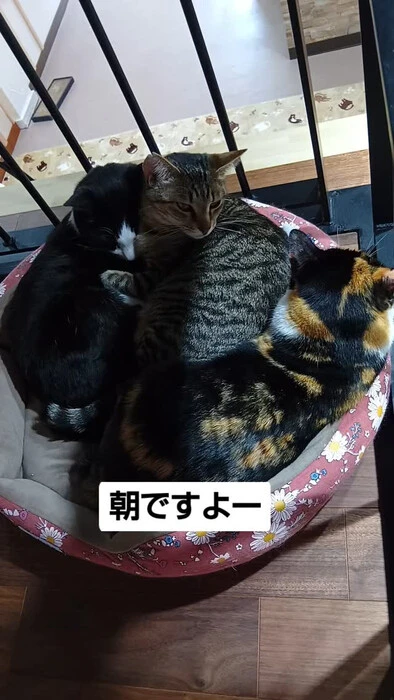 画像999