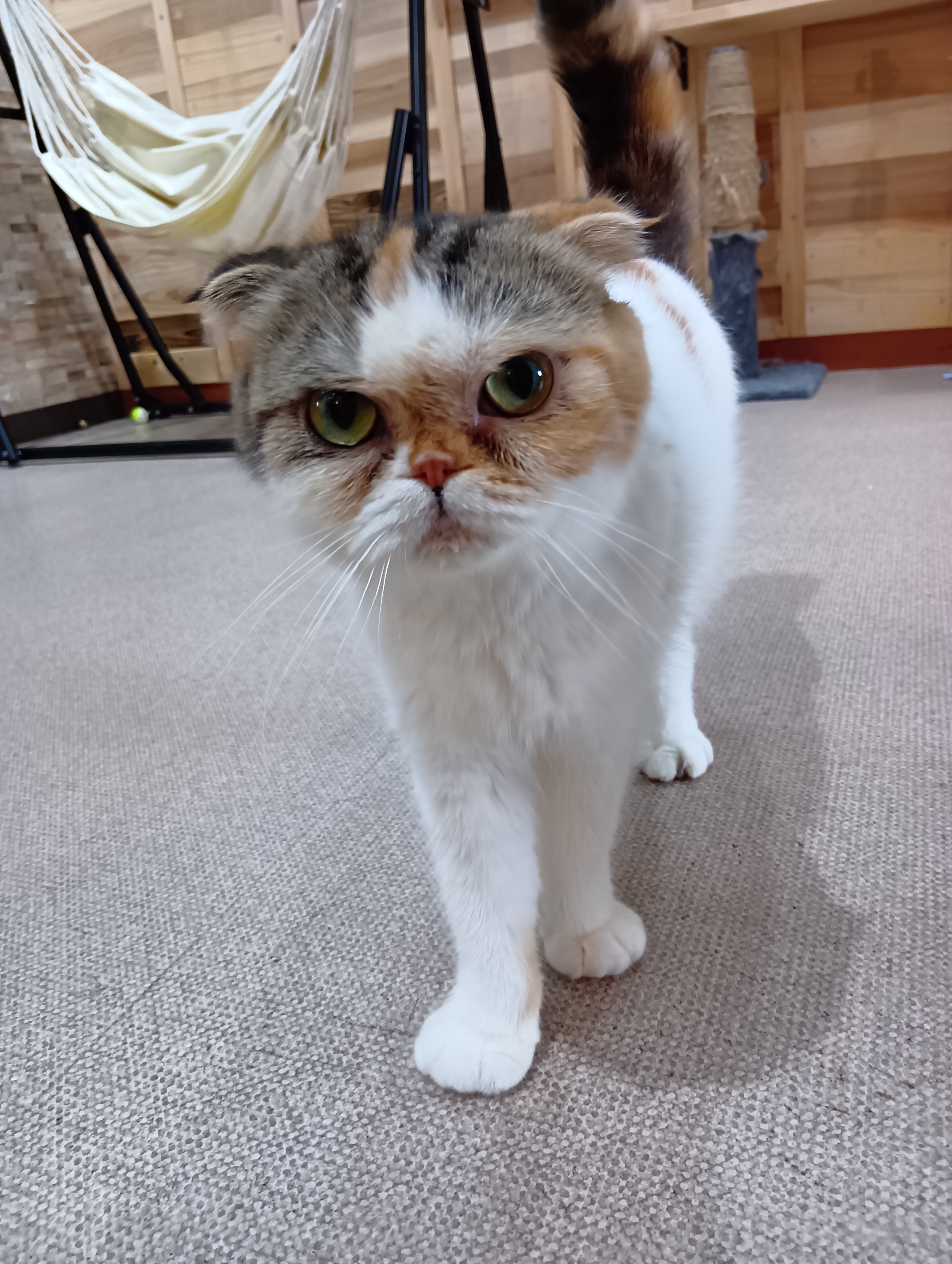 子供も安心して利用できるカフェ