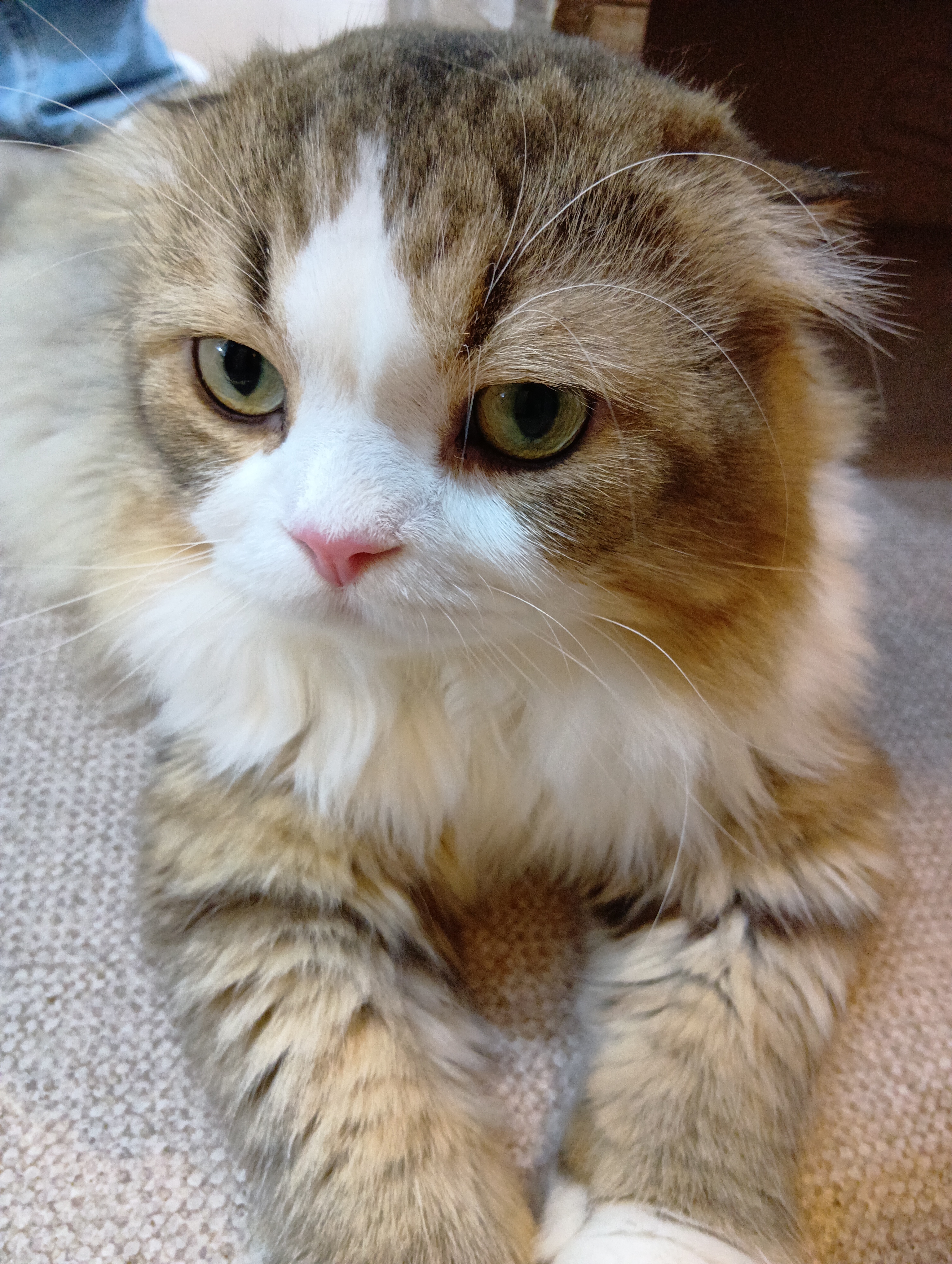 正しい飼い方を学べる場所