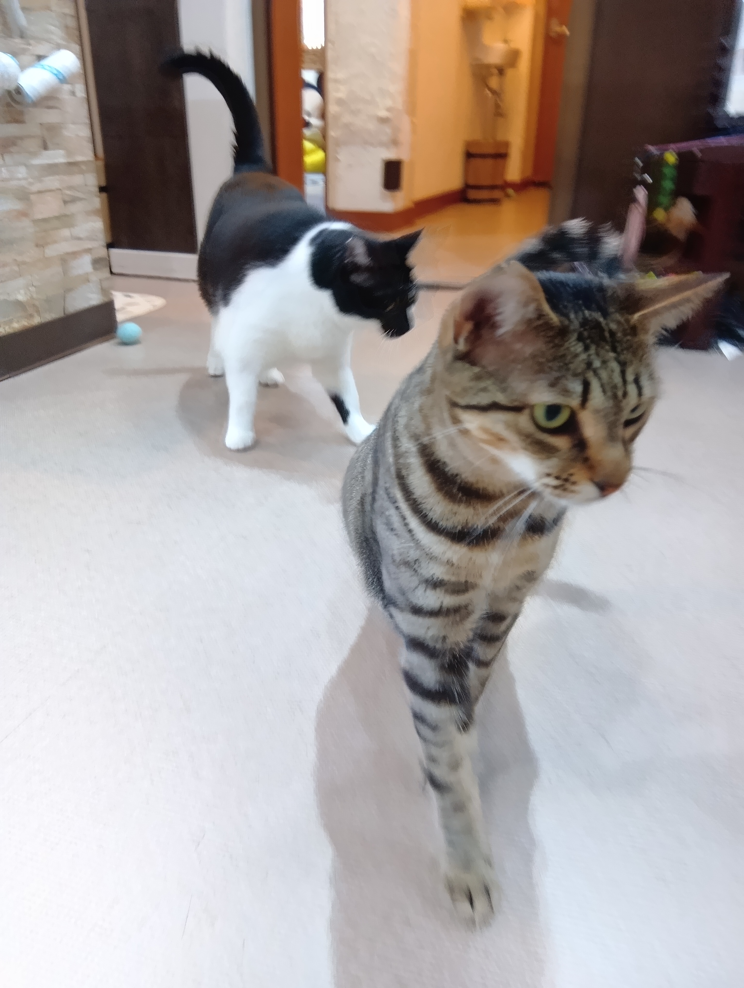 料金と値段相場について